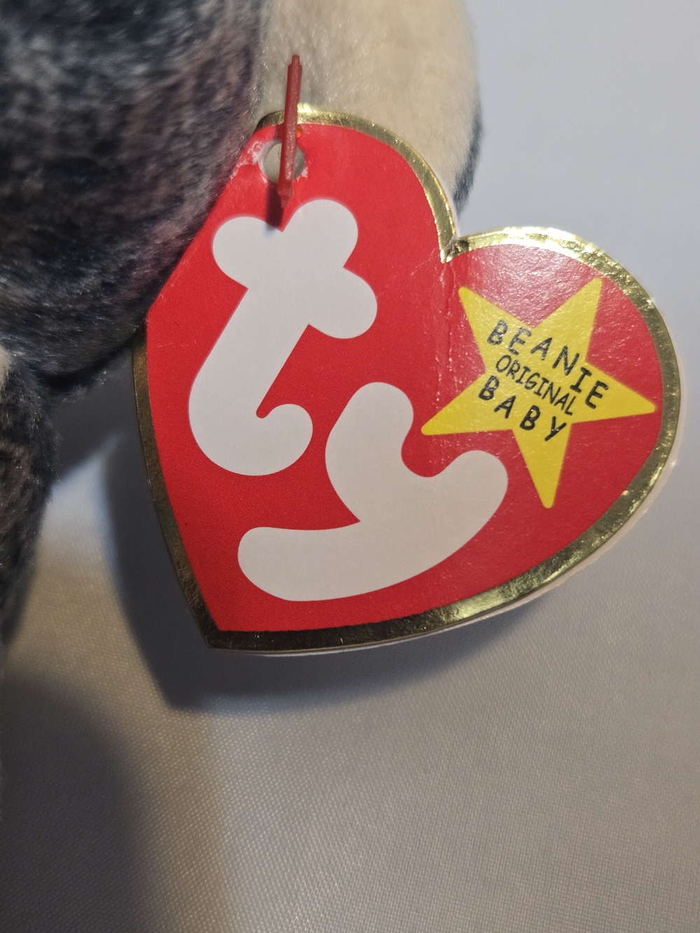 Ty Beanie BabyEucalyptus the Koala- introduced in 1999 - Picture 7 of 11
